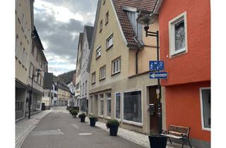 Wohnung kaufen in 72160 Horb, 2-Zimmer-Wohnung OG-Erstbezug nach Kernsanierung