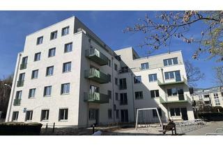 Wohnung mieten in Pasewalker Str. 96 A, 13127 Französisch Buchholz, Erstbezug 2-Zimmer-Wohnung mit Sonnenbalkon und EBK