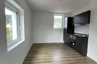 Lofts mieten in Untergruppenbacher Straße 32, 74199 Untergruppenbach, Alltagstaugliches 1-Zimmer-Loft in Untergruppenbach