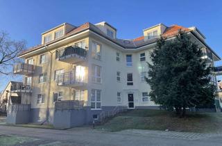 Wohnung mieten in Alte Berliner Str. 52, 15366 Hoppegarten, +++ Ruhiglage! +++ Frisch renoviert! +++ Balkon! +++