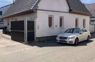 Wohnung mieten in 67227 Eppstein, Anschauen lohnt sich! Geräumige Erdgeschoßwohnung in ruhiger Wohnlage in Eppstein - Frankenthal