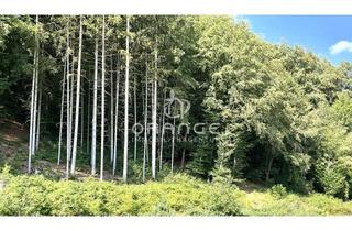 Penthouse mieten in 93161 Sinzing, ***Penthouse am Waldrand mit Traumblick ins Grüne***