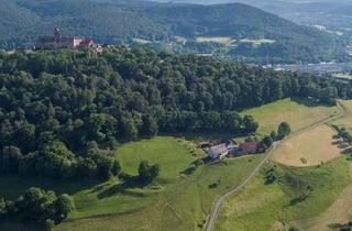 Haus kaufen in 64747 Breuberg, Historisches Hofgut in idyllischer Alleinlage mit weitläufigen Ländereien - älter als die Stadt Bre