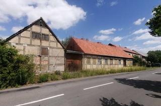 Haus kaufen in 39624 Packebusch, Dornröschenhaus in Packebusch möchte wachgeküsst werden