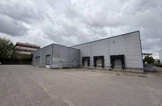 Büro zu mieten in 64646 Heppenheim, ATTRAKTIVE LAGERHALLE (2.291 m²+390 m² Büro) ZU VERMIETEN