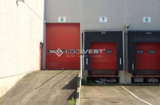 Gewerbeimmobilie mieten in 38114 Braunschweig, Vielseitige moderne Lager- und Produktionshalle im Gewerbepark nahe A2