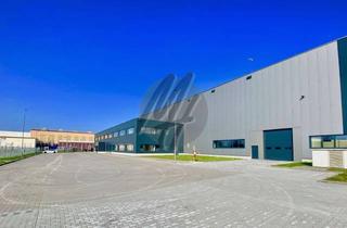 Büro zu mieten in 63505 Langenselbold, KEINE PROVISION ✓ NEUBAU ✓ Lager-/Produktion (14.500 m²) & Büro (1.500 m² / erweiterbar)