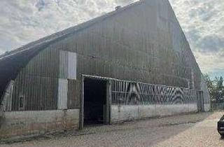 Gewerbeimmobilie kaufen in 21406 Melbeck, Große Gewerbehalle