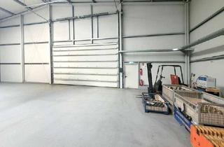 Gewerbeimmobilie kaufen in 01728 Bannewitz, Ein Standort, zwei Hallen – Produktion, Büro und Sozialtrakt optimal vereint