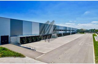 Büro zu mieten in 38122 Braunschweig, KEINE PROVISION ✓ NEUBAU ✓ WGK ✓ Lager-/Logistik (11.000 m²) & Büro (450 m²)