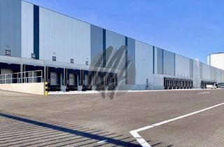 Büro zu mieten in 38304 Wolfenbüttel, KEINE PROVISION ✓ LOGISTIK-NEUBAU ✓ Lager-/Logistik (10.000 m²) & Büro (500 m²)