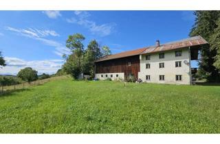 Grundstück zu kaufen in 83278 Traunstein, Baugrundstück in Traunstein - Einfamilienhaus / Doppelhaus mit Blick über Traunstein und die Berge