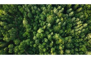 Grundstück zu kaufen in 94353 Haibach, Über 5,5 Hektar land- und forstwirtschaftliche Flächen bei Haibach!