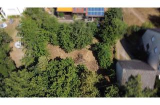 Grundstück zu kaufen in 86551 Aichach, Schönes Baugrundstück in Oberbernbach!