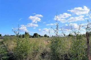 Grundstück zu kaufen in Riether Straße 38, 41334 Nettetal, Baugrundstück mit Baugenehmigung für ein 4-Familienhaus in ruhiger Ortslage von Nettetal-Schaag