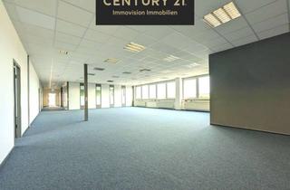 Büro zu mieten in 31134 Hildesheim, Repräsentatives Etagenbüro in Drispenstedt