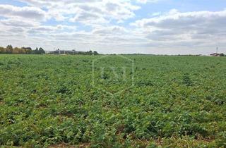 Immobilie kaufen in 41564 Kaarst, Ackerland in Kaarst
