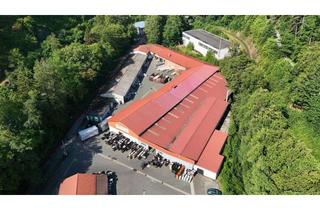 Immobilie kaufen in 38855 Wernigerode, Entwicklungsstarkes Gewerbeareal in Wernigerode mit vielseitigem Nutzungspotenzial