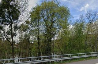 Gewerbeimmobilie kaufen in B oNr, 54308 Langsur, AUKTION! Teil der ehemaligen Westwallbunkeranlage, direkt an der Luxemburgischen Grenze
