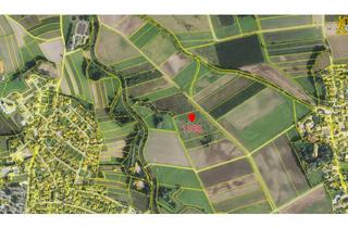 Gewerbeimmobilie kaufen in 85290 Geisenfeld, Landwirtschaftliche Ackerfläche in Engelbrechtsmünster
