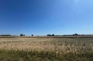 Gewerbeimmobilie kaufen in 86551 Aichach, Landwirtschaftliches Bauerwartungsland in Aichach - Oberbernbach