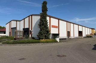 Gewerbeimmobilie mieten in 89155 Erbach, Große Lagerhalle auf 2 Etagen in Erbach zu vermieten!