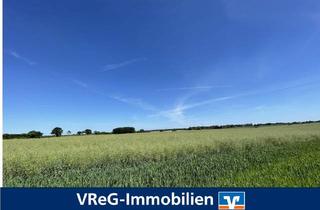 Immobilie kaufen in 19217 Rieps, Arrondierte Flächen: 7,6 ha Ackerland in Rieps/ NWM zu verkaufen (A3761)