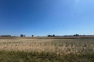 Immobilie kaufen in 86551 Aichach, Landwirtschaftliches Bauerwartungsland in Aichach - Oberbernbach