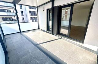 Wohnung mieten in 77933 Lahr, Moderne 3 Zimmer NB Wohnung mit EBK, großem Balkon und TG