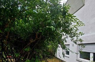 Wohnung kaufen in 55566 Bad Sobernheim, Bad Sobernheim - Eine 3 ZKB Wohnung bei Bad Kreuznach provisionsfrei zu verkaufen