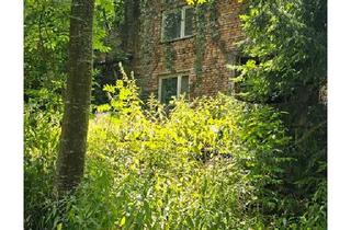Haus kaufen in 92431 Neunburg, Neunburg vorm Wald - Ehemaliges Bahnwärterhaus in ruhige Naturlage- Sanierungsprojekt