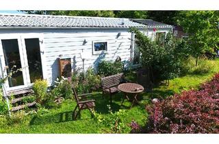 Haus kaufen in 32699 Extertal, Extertal - Mobilheim Tiny House im Grünen