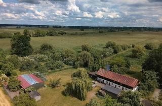 Bauernhaus kaufen in 14662 Friesack, Friesack - Bauernhof, Pferdeimmobilie mit 2,5 ha Eigenland