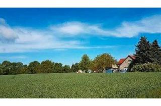 Bauernhaus kaufen in 04928 Plessa, Plessa - Bauernhof,Scheune,12ha Acker,Wiese,Wald 2x Baugrund a 1000qm
