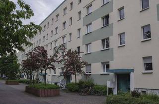 Wohnung mieten in Frankfurter Straße, 03046 Cottbus, Noch wird gewerkelt, bald wird gewohnt / Still under construction, soon to be your home