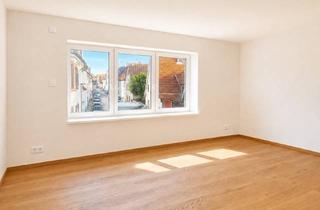 Wohnung mieten in Falkengasse 26, 69123 Wieblingen, 3-Zimmer-Wohnung mit 100 m² in Heidelberg-Wieblingen im 1.OG mit Luxus Bad, EBK, Gartenmitnutzung