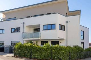 Wohnung mieten in Mattenweg, 77886 Lauf, moderne 4- Zimmer Wohnung, 1 OG: 114m² zzgl. Balkon, & PKW- Stellplatz ; BJ 2023