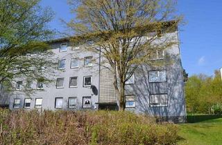 Wohnung mieten in Birkenallee 49, 34225 Baunatal, Großzügige 3-Zimmerwohnung mit praktischem Grundriss