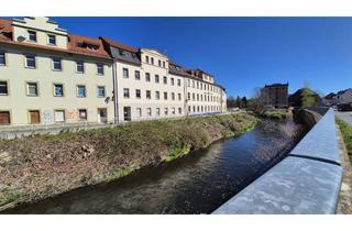 Wohnung mieten in Staupitzstraße 17, 04720 Döbeln, *** 1-Raumwohnung, in ruhiger Lage zu vermieten***