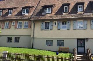 Wohnung mieten in Bergstraße 21, 36205 Sontra, Praktische 2-Zimmerwohnung in Sontra