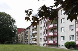 Wohnung mieten in Albert-Schweitzer-Straße, 02977 Zeißig, Eure erste gemeinsame Wohnung?