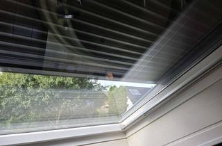 Wohnung mieten in Waldblickstraße 10, 75245 Neulingen, Modernisierte 3-Zimmer-Wohnung in Göbrichen