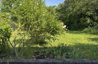 Wohnung mieten in 53115 Poppelsdorf, 3-Zimmerwohnung mit Garten in Poppelsdorf - befristet