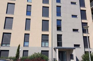 Wohnung mieten in Lausitzer Strasse 50, 03046 Cottbus, Barrierefreie, traumhafte 2-Zimmer-Wohnung mit Terrasse, Klima, Fußbodenheizung