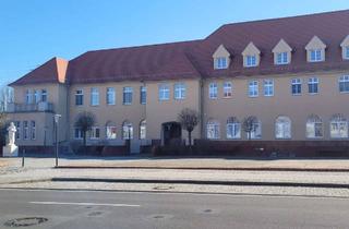 Wohnung mieten in Straße Des Friedens 14, 06772 Zschornewitz, Helle 3-Raumwohnung in Zschornewitz sucht neuen Mieter