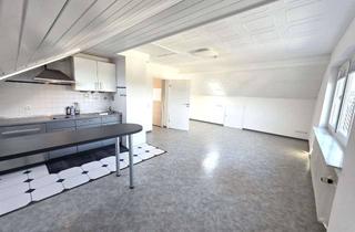 Wohnung mieten in 63517 Rodenbach, RODENBACH: ACHTUNG SINGLES ! 1 Zi.Dachstudio. m. gr.Sonnenterrasse - TGL Bad - EBK