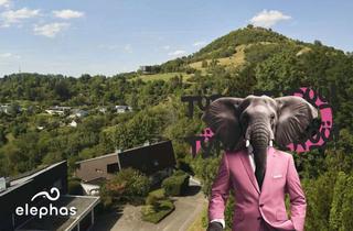 Haus kaufen in 72800 Eningen, Familienhaus in Eningen – wo die Achalm hinterm Garten beginnt!