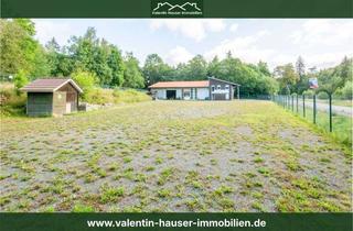 Haus kaufen in 38875 Tanne, Viel Platz für Wohnen, Arbeiten und eigene Projekte