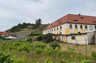 Haus kaufen in 01612 Nünchritz, Repräsentatives Wohngebäude mit Schloss - Charakter am Weinberg !!