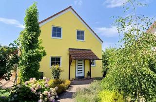 Einfamilienhaus kaufen in 93188 Pielenhofen, Fit für die Zukunft: Einfamilienhaus zum sofort Einziehen und Wohlfühlen